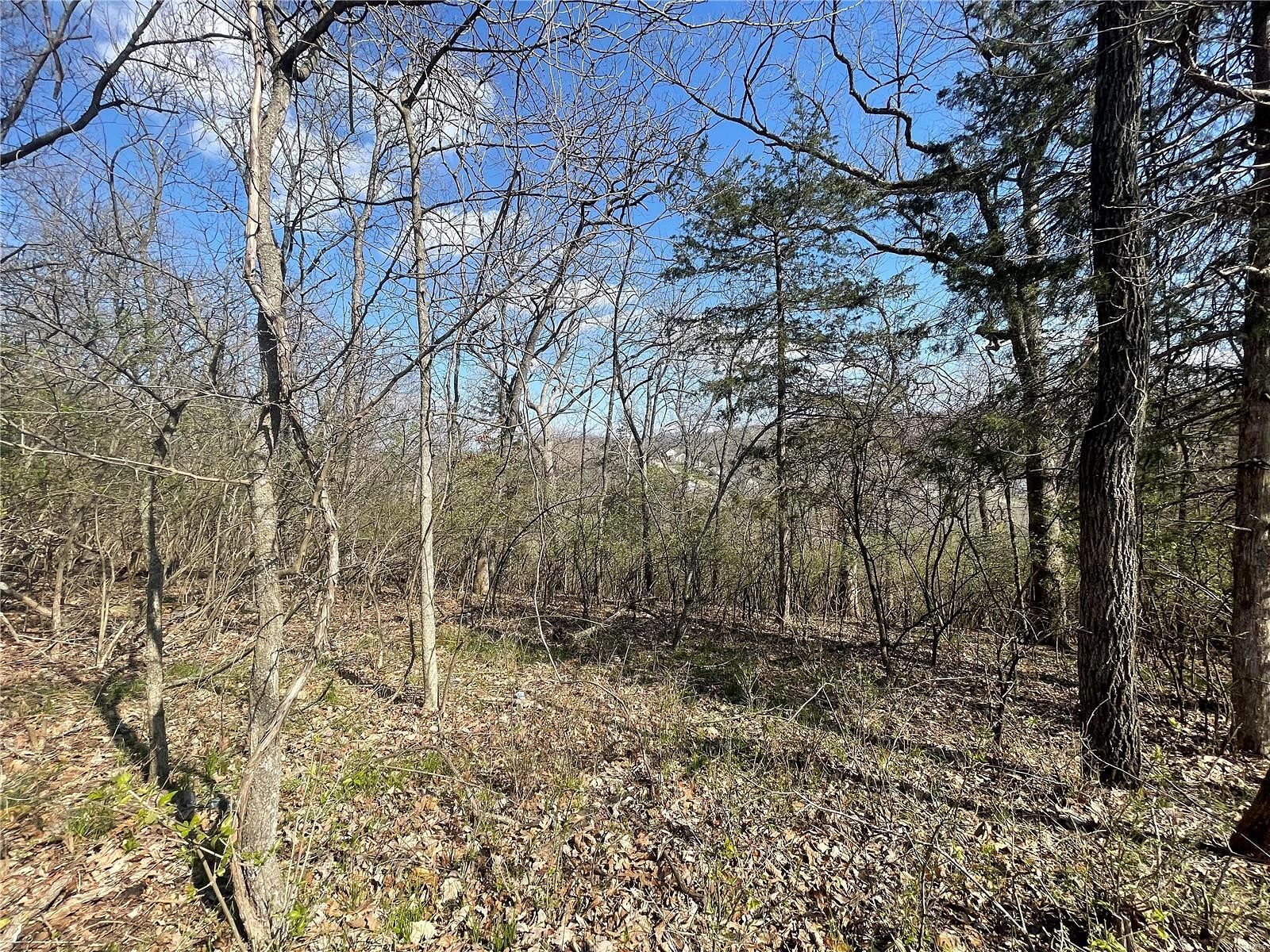 0.25 Acres of Residential Land for Sale in Byrnes Mill, Missouri