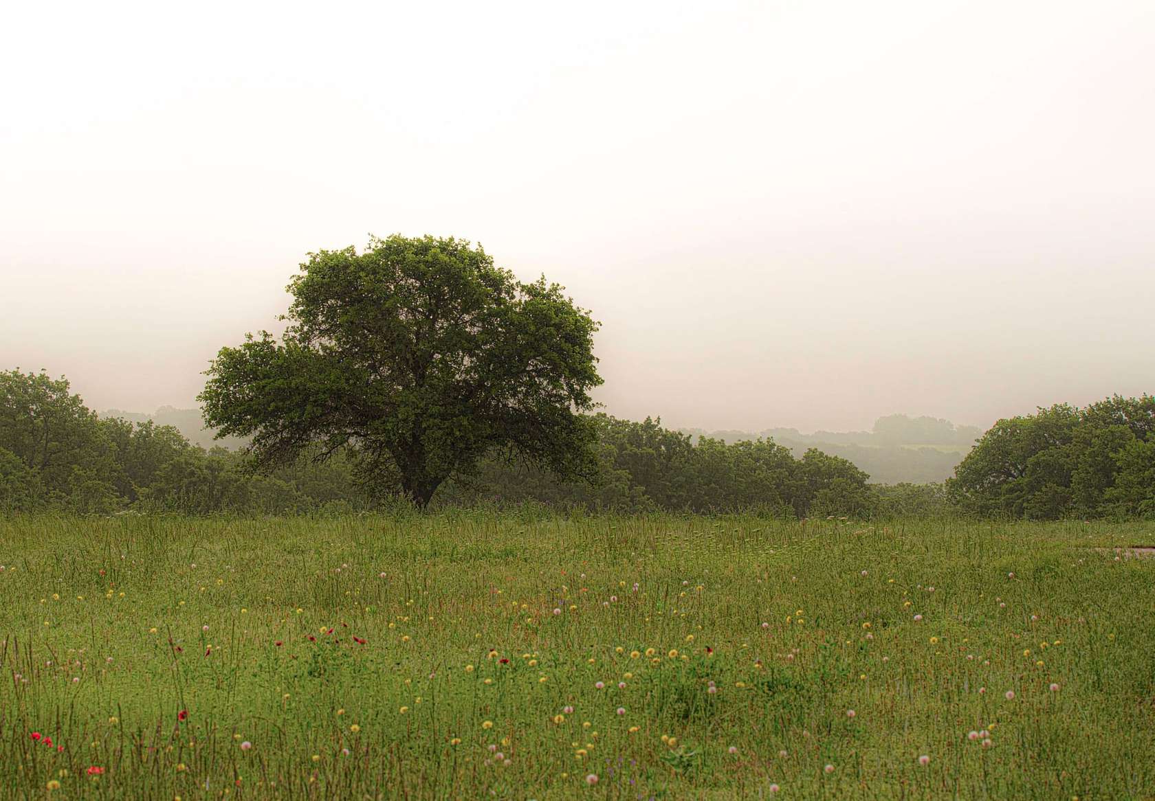 1,073.28 Acres of Recreational Land & Farm for Sale in Nocona, Texas