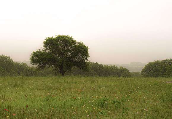 1,073.28 Acres of Recreational Land & Farm for Sale in Nocona, Texas