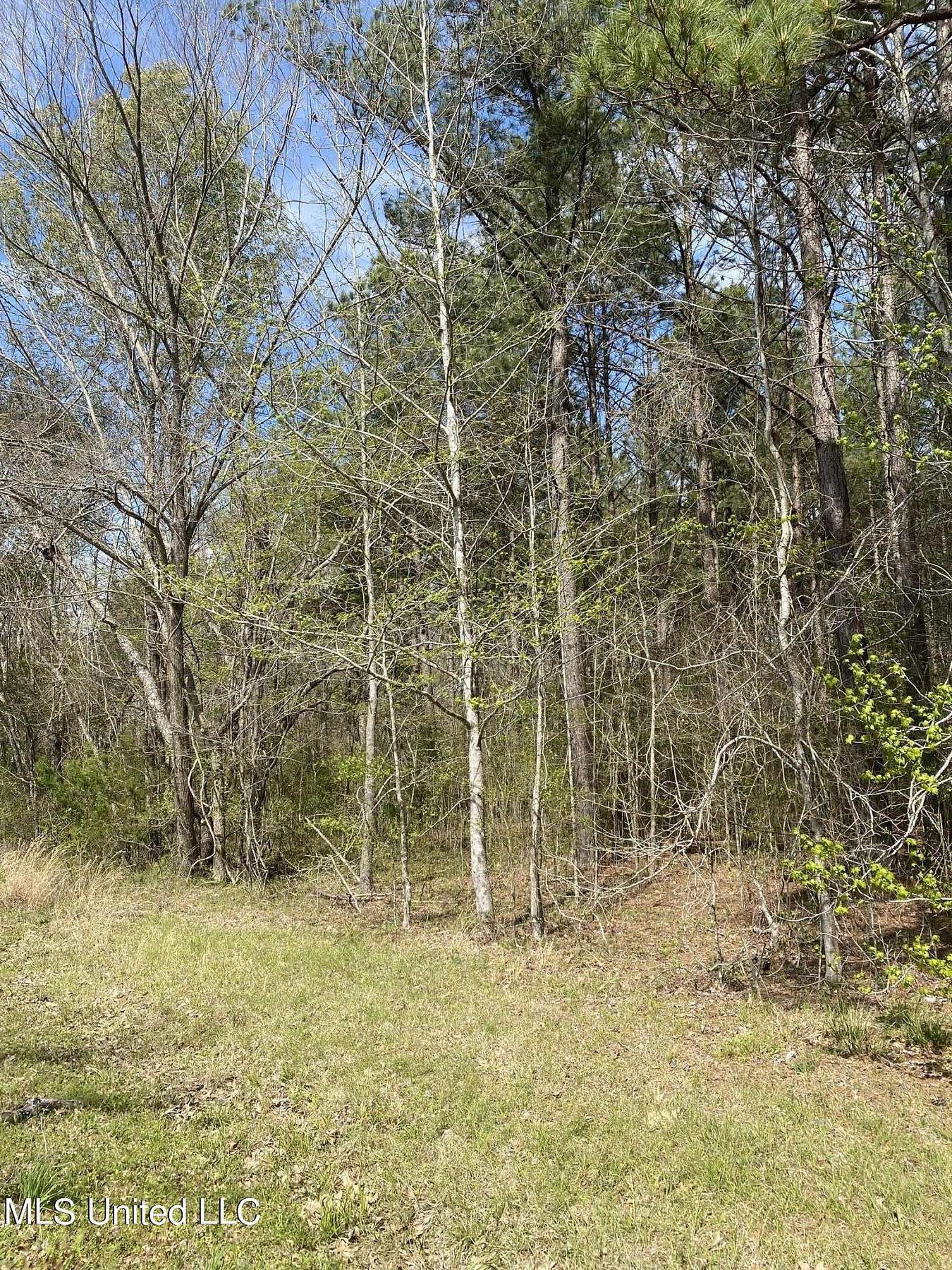 35 Acres of Land for Sale in Canton, Mississippi