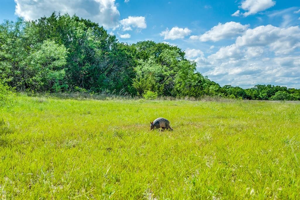 86.2 Acres of Agricultural Land for Sale in Stephenville, Texas