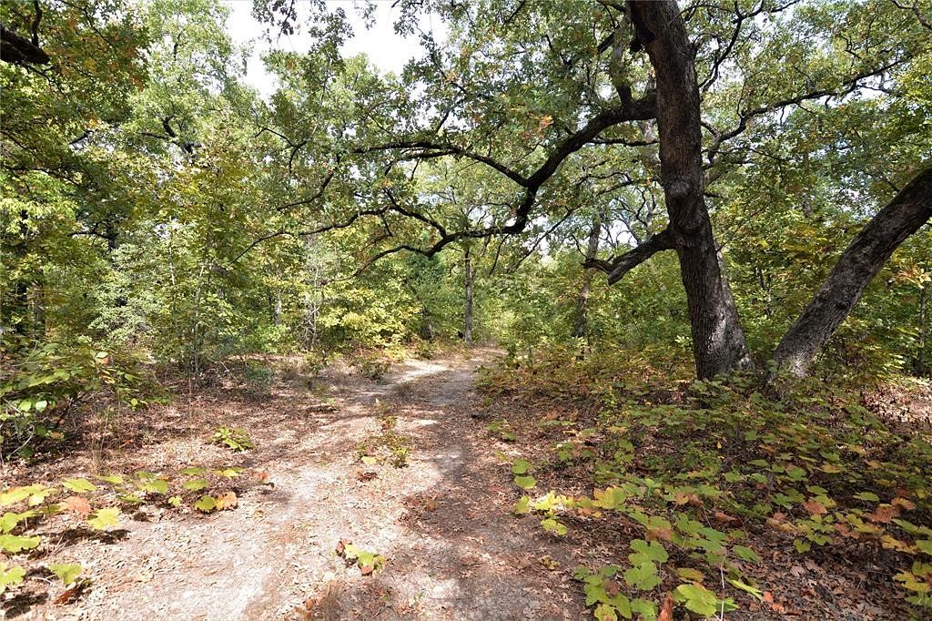 15.3 Acres of Land for Sale in Eustace, Texas
