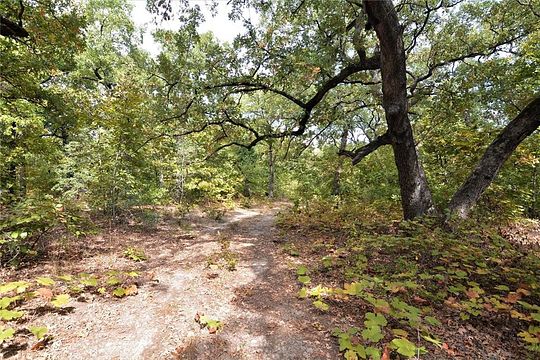 15.3 Acres of Land for Sale in Eustace, Texas
