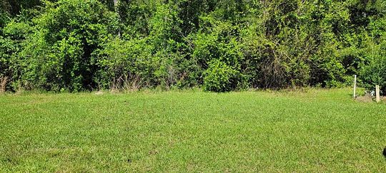 0.52 Acres of Residential Land for Sale in Carriere, Mississippi