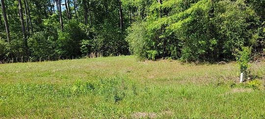 0.46 Acres of Residential Land for Sale in Carriere, Mississippi