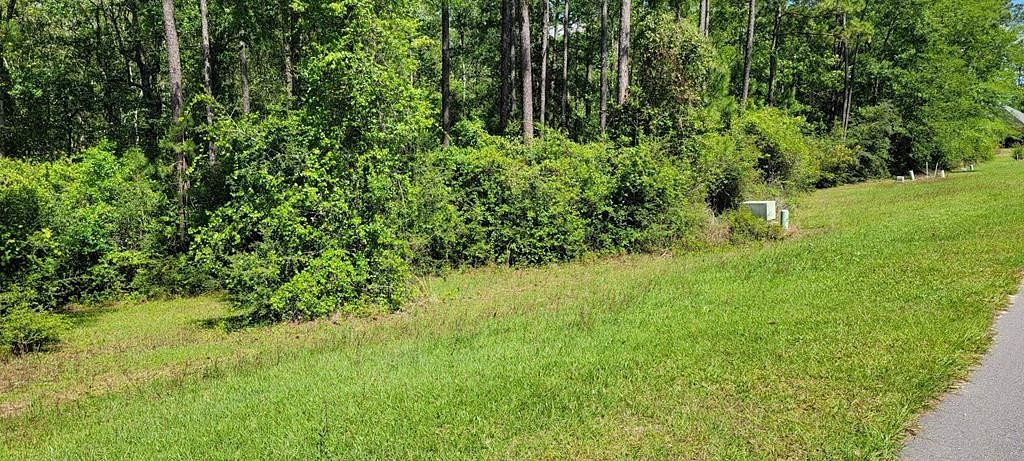 0.46 Acres of Residential Land for Sale in Carriere, Mississippi