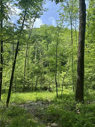 5 Acres of Residential Land for Sale in Sandgate, Vermont