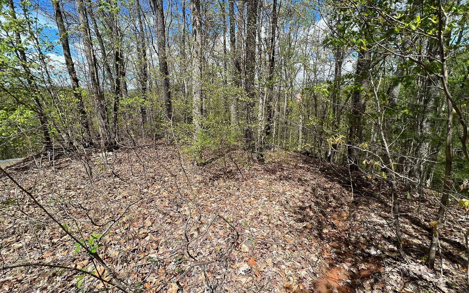 2.2 Acres of Land for Sale in Hayesville, North Carolina