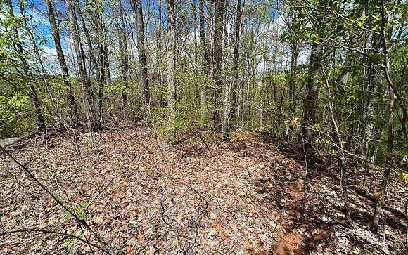 2.176 Acres of Land for Sale in Hayesville, North Carolina