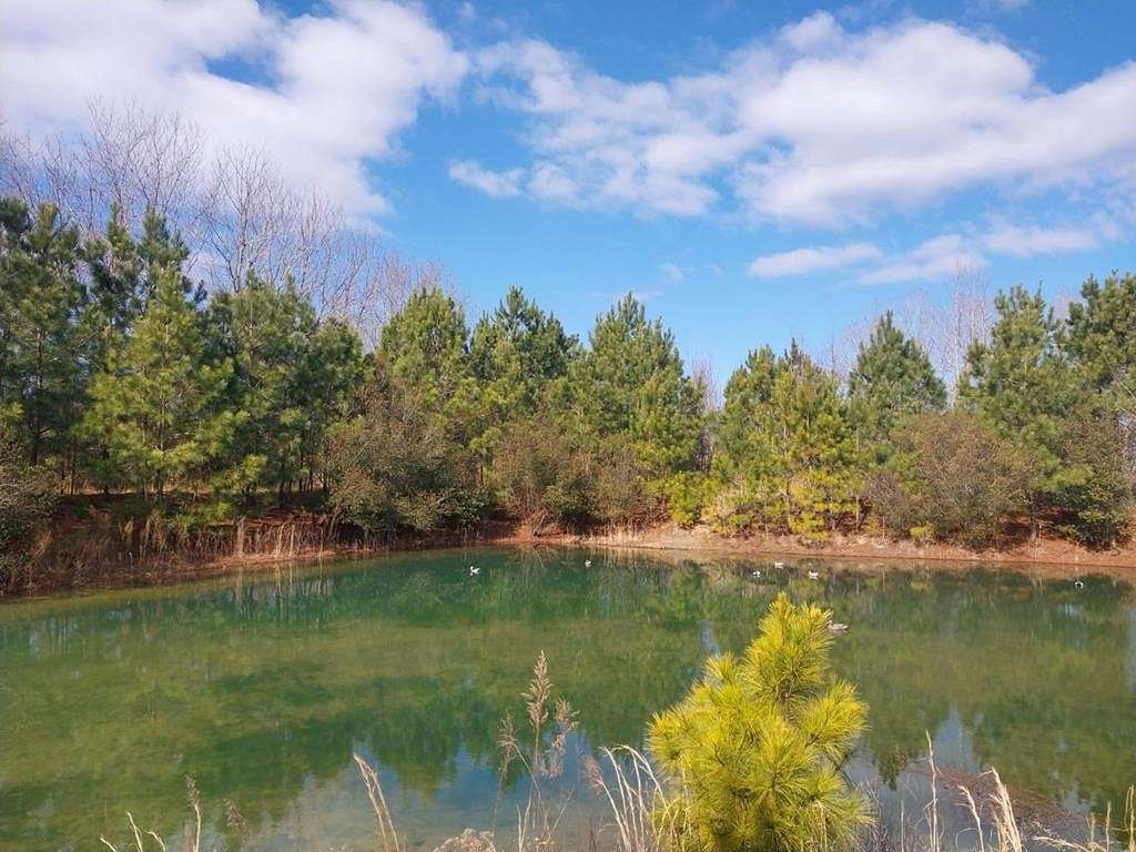 5 Acres of Land for Sale in Melfa, Virginia