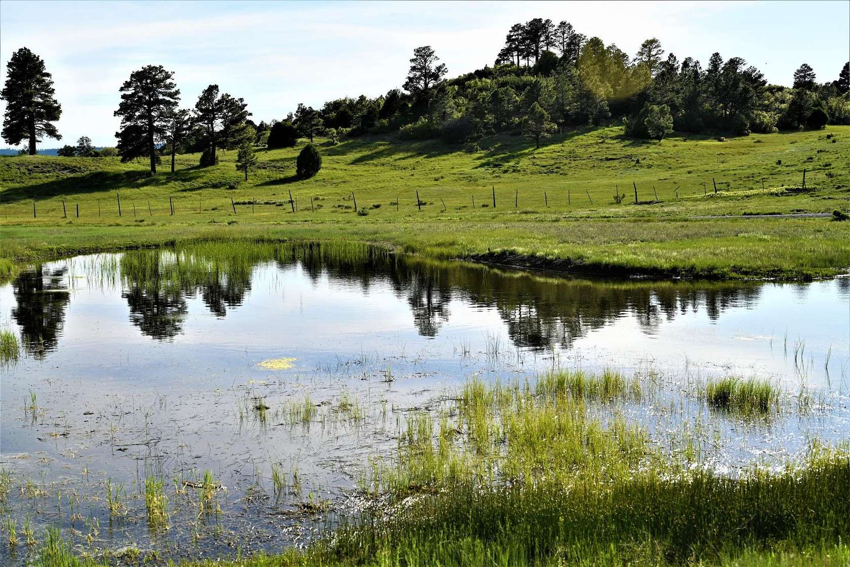 30 Acres of Recreational Land for Sale in Chama, New Mexico