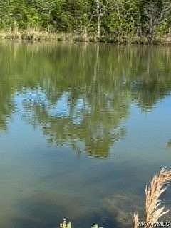 20 Acres of Recreational Land for Sale in Montgomery, Alabama