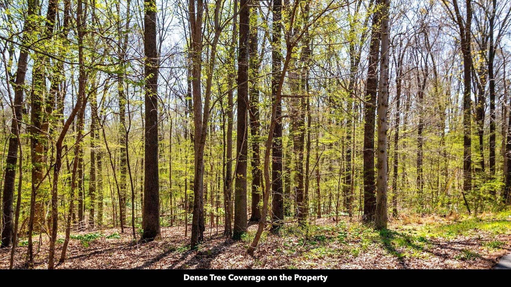 0.76 Acres of Residential Land for Sale in Trenton, Tennessee