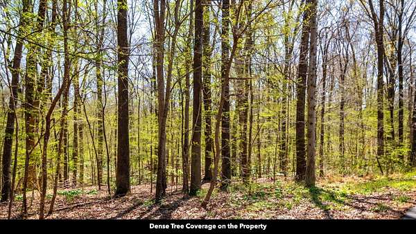 0.76 Acres of Residential Land for Sale in Trenton, Tennessee