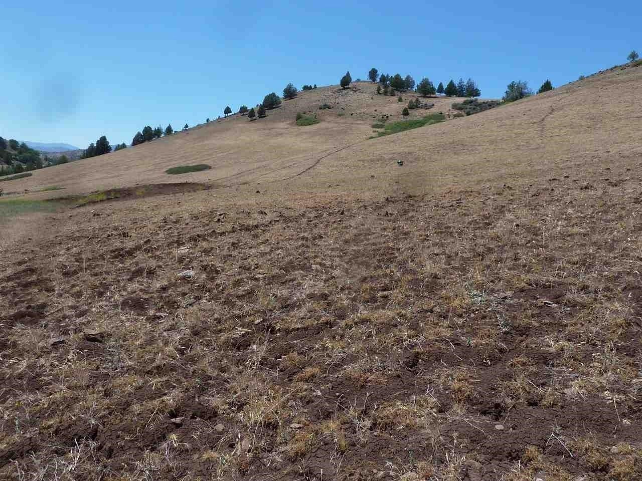 2.5 Acres of Land for Sale in Hornbrook, California
