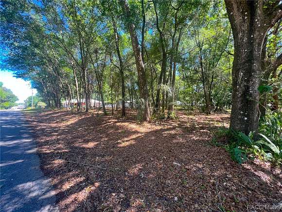 0.33 Acres of Residential Land for Sale in Inverness, Florida