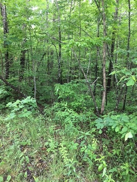 5 Acres of Residential Land for Sale in Wilder, Tennessee