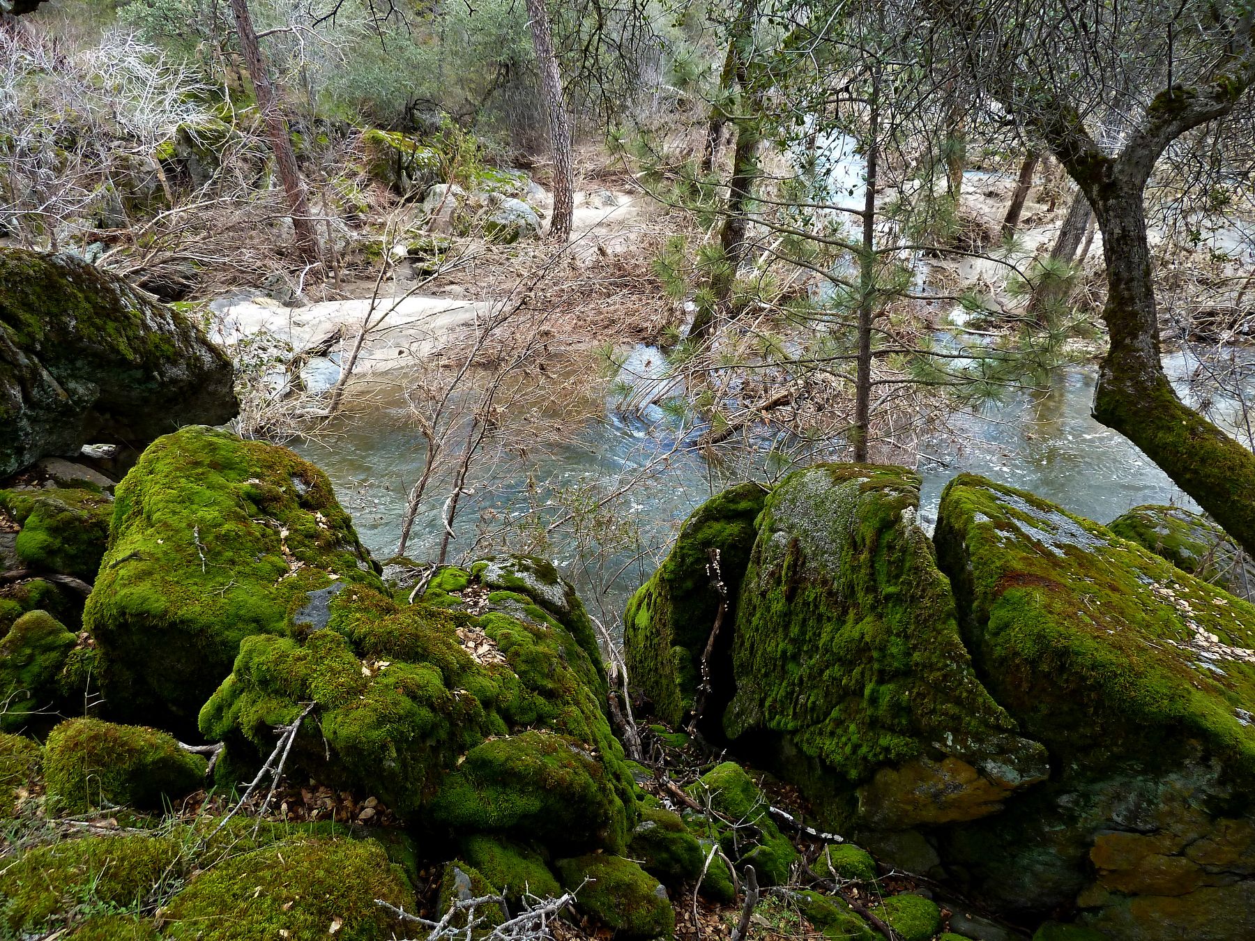 40 Acres of Land for Sale in Tollhouse, California LandSearch