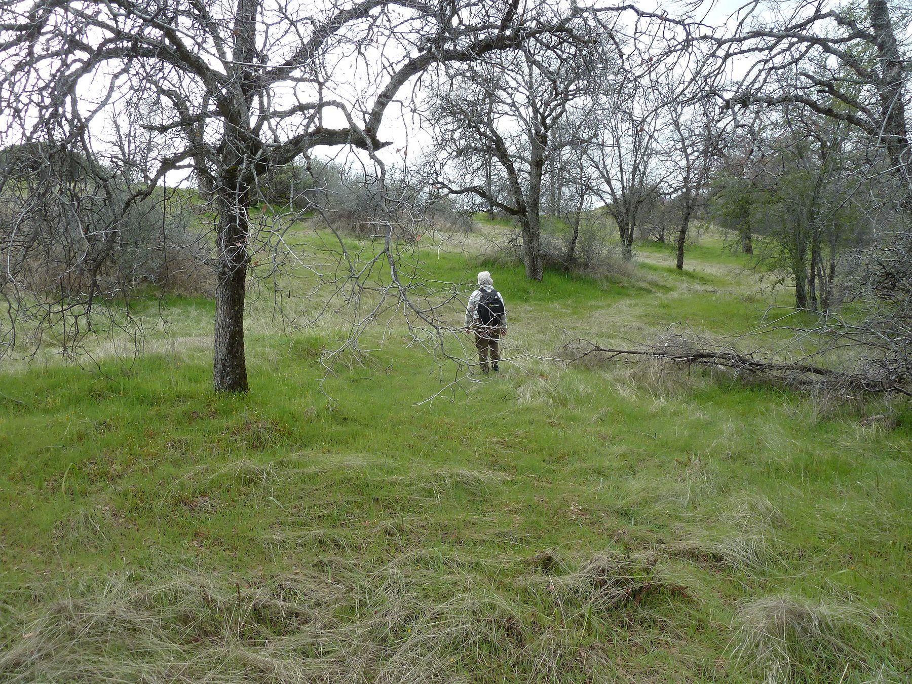 40 Acres of Land for Sale in Tollhouse, California LandSearch