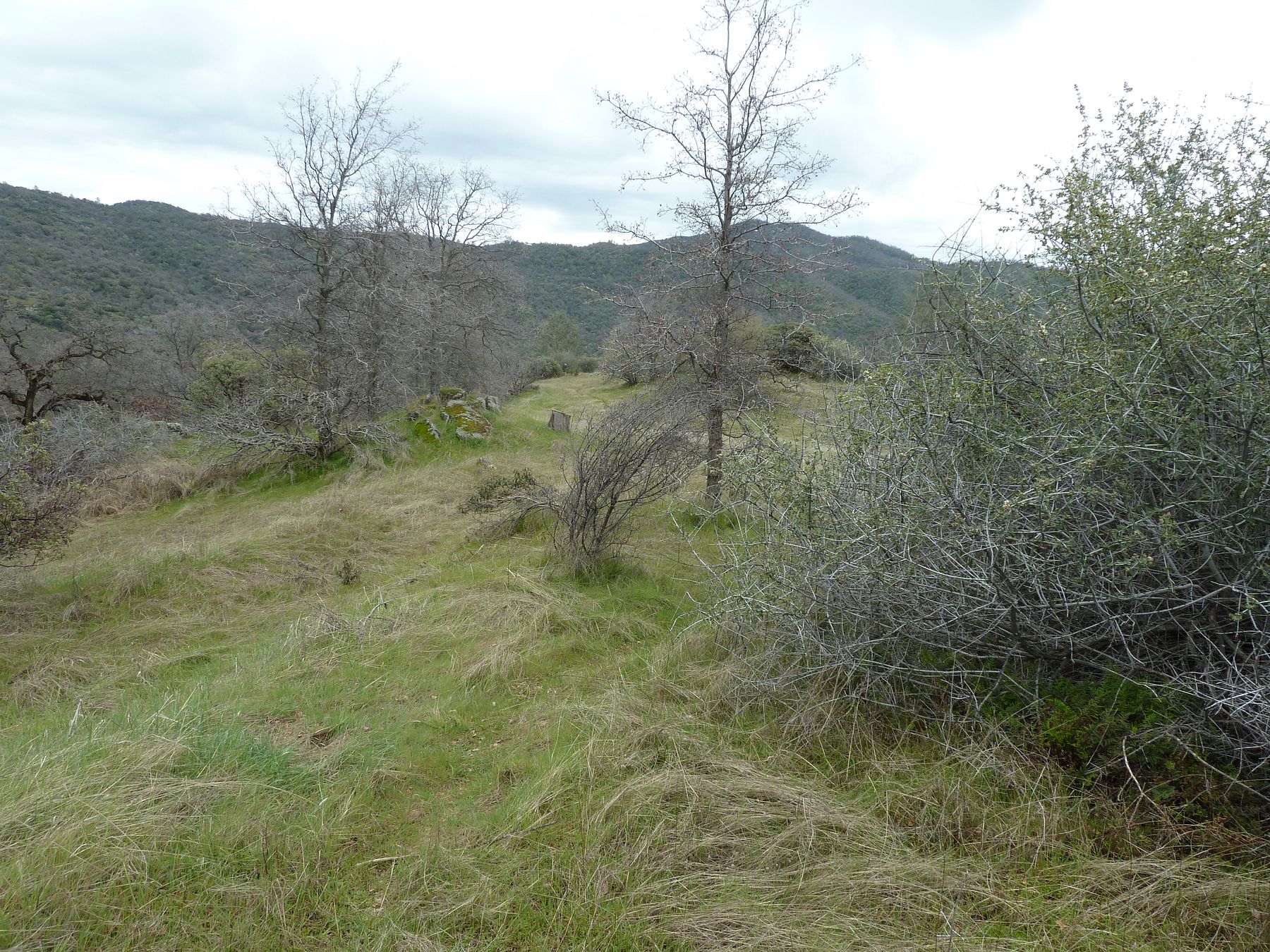 40 Acres of Land for Sale in Tollhouse, California LandSearch