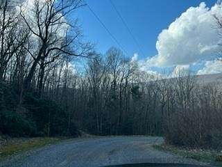 16.5 Acres of Land for Sale in Tazewell, Virginia