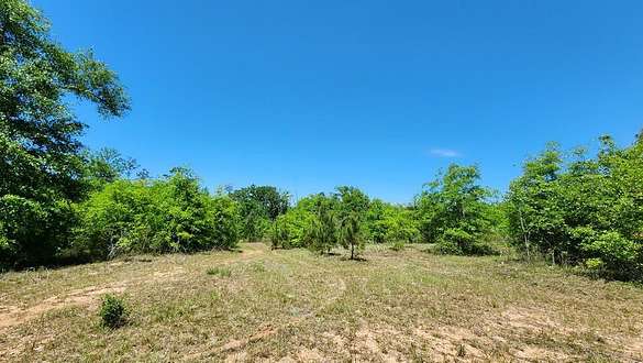 68 Acres of Land for Sale in Dothan, Alabama