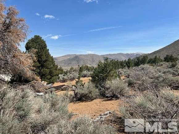 1 Acre of Land for Sale in Coleville, California