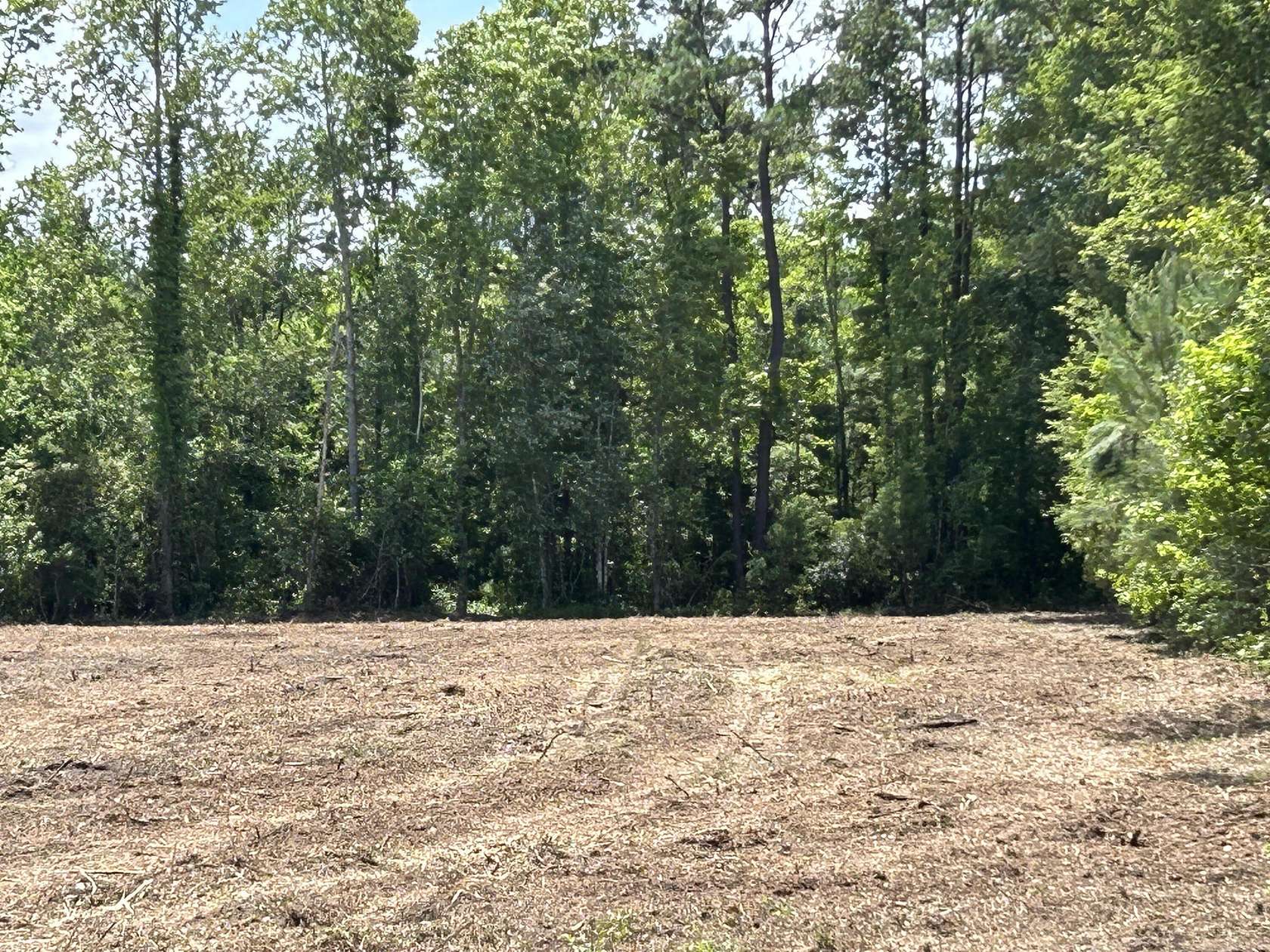 14 Acres of Land for Sale in Jacksonboro, South Carolina