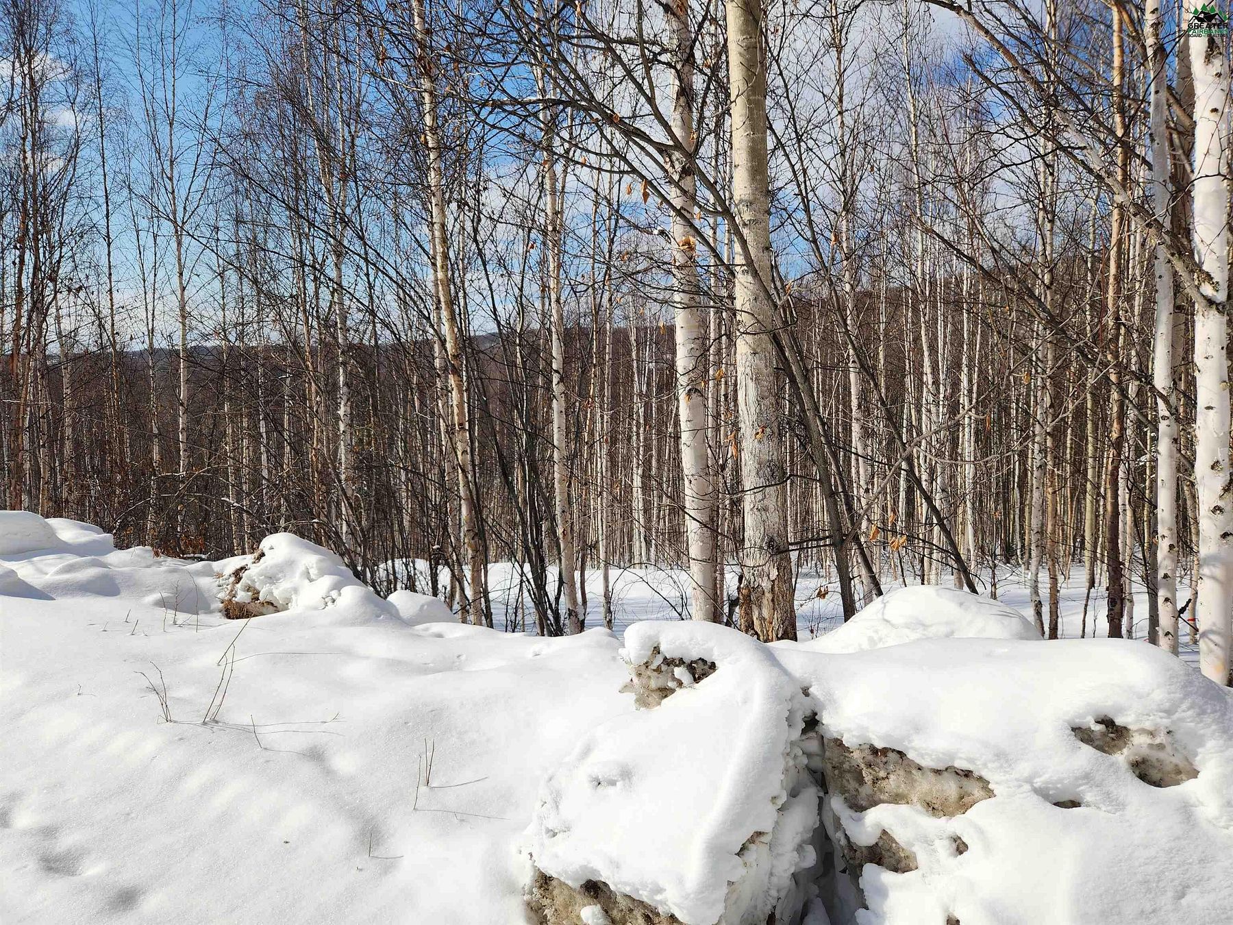 2.8 Acres of Residential Land for Sale in Fairbanks, Alaska