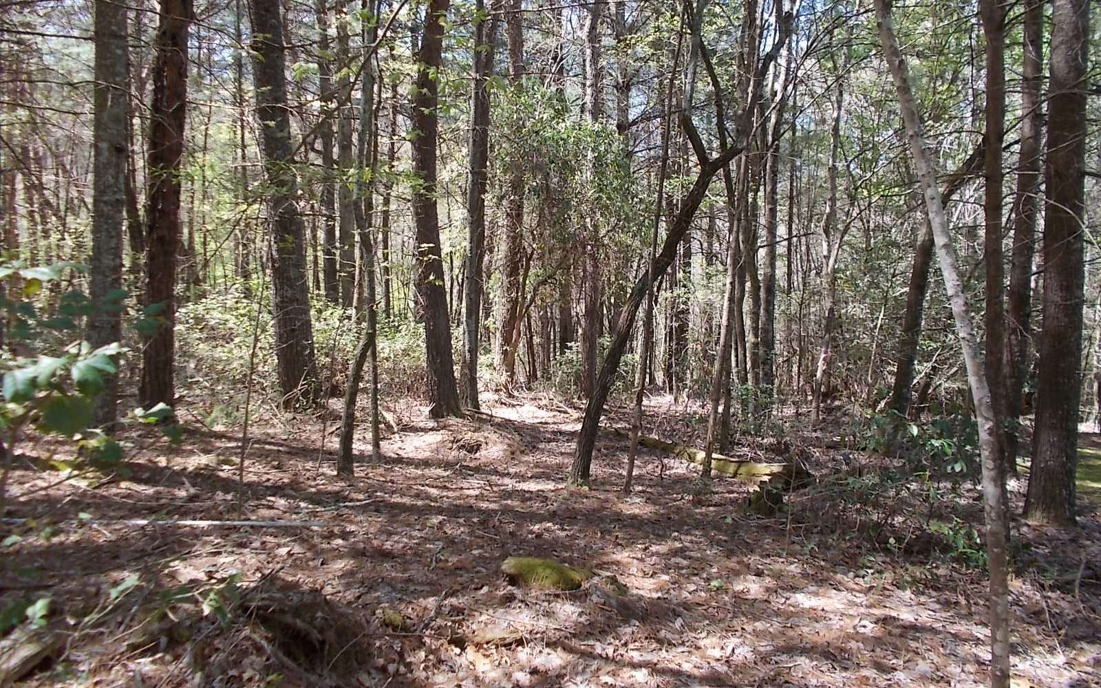 1 Acres of Land for Sale in Blairsville, Georgia