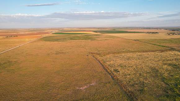 120 Acres of Recreational Land & Farm for Sale in Muleshoe, Texas