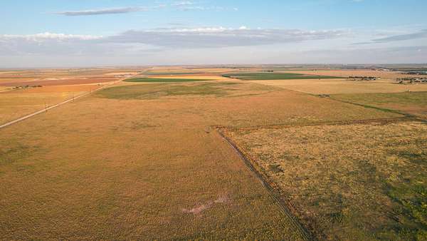 120 Acres of Recreational Land & Farm for Sale in Muleshoe, Texas