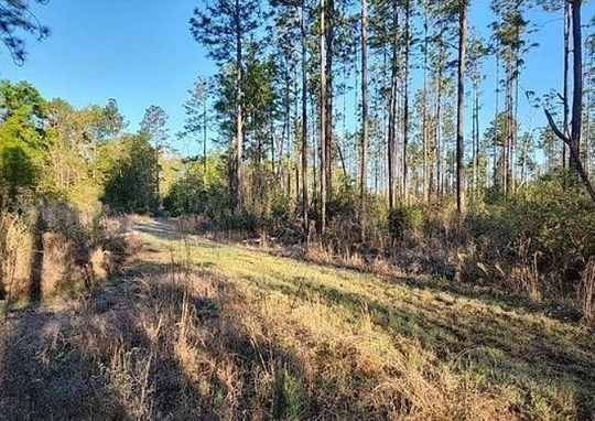 20 Acres of Recreational Land for Sale in Bay Minette, Alabama