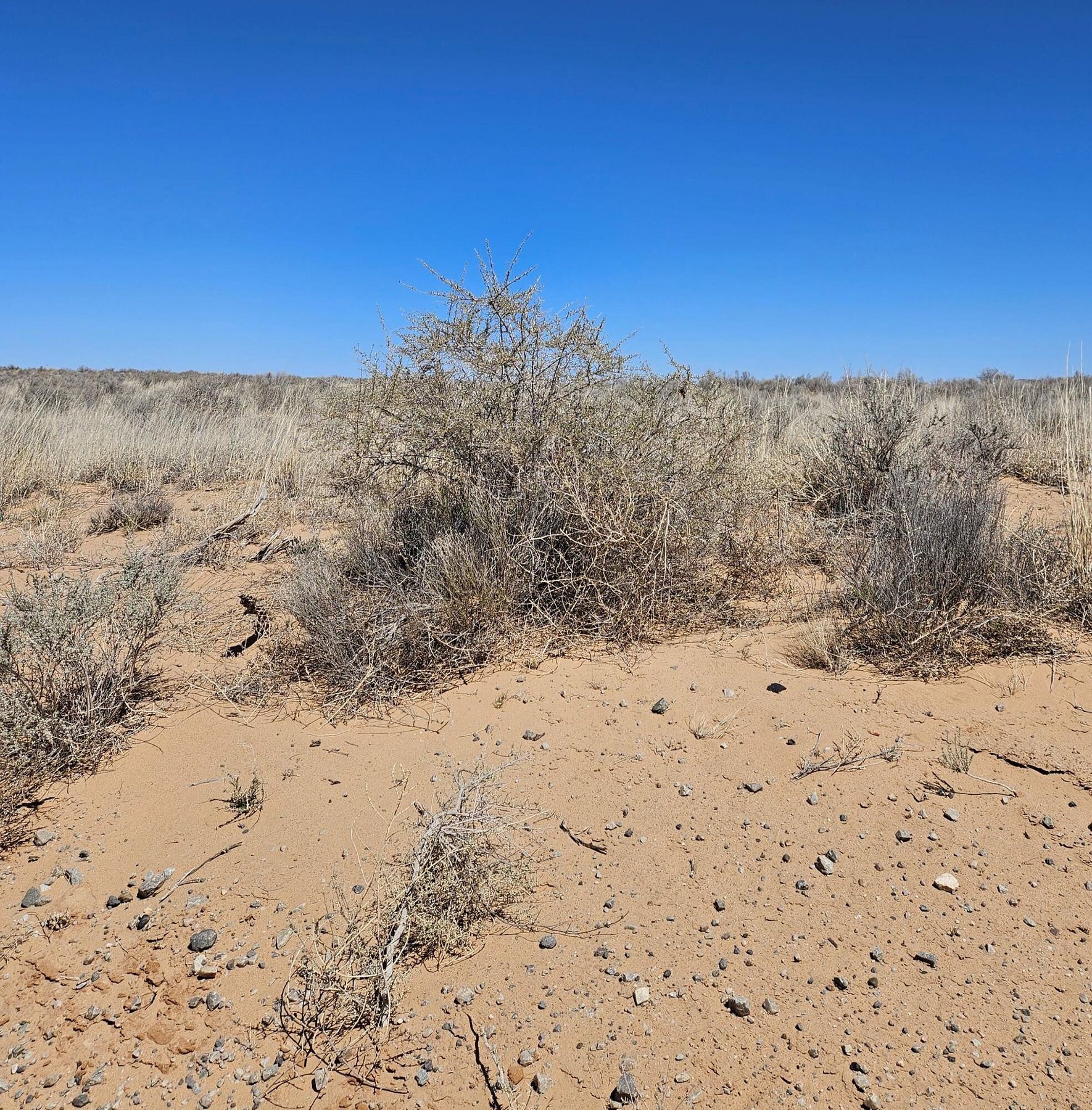 6 Acres of Land for Sale in Belen, New Mexico