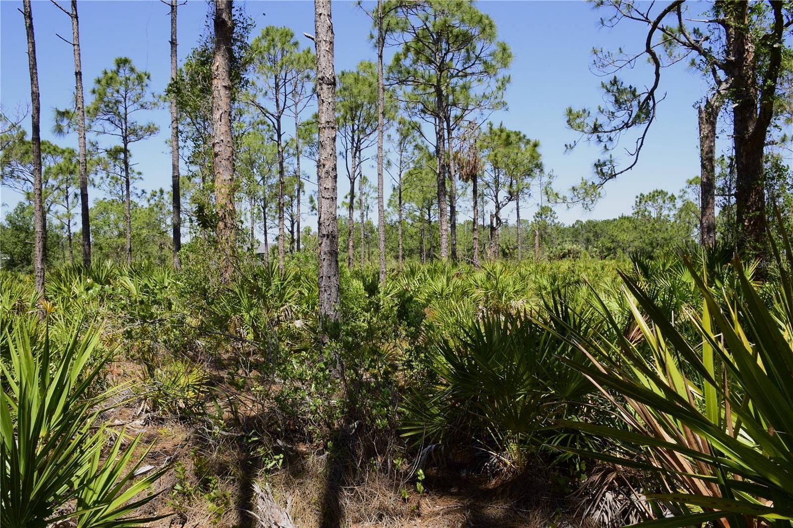 0.39 Acres of Land for Sale in Punta Gorda, Florida