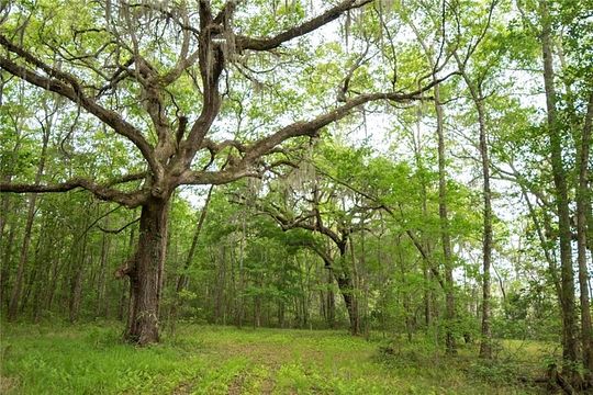3.4 Acres of Residential Land for Sale in Kingsland, Georgia