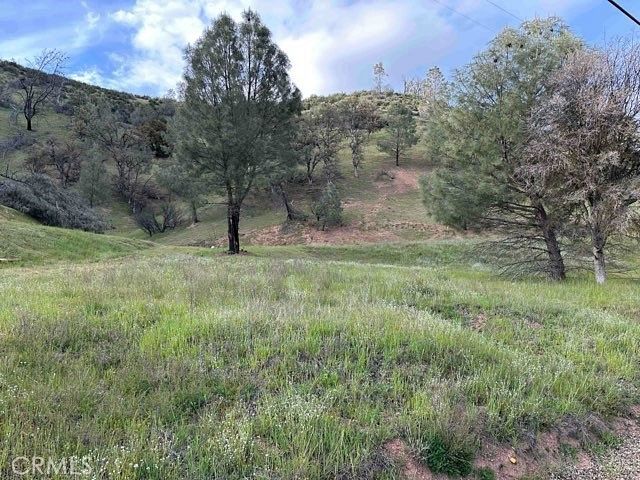 8.1 Acres of Land for Sale in Clearlake Oaks, California