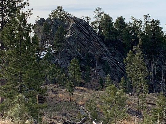 33.6 Acres of Recreational Land for Sale in Custer, South Dakota