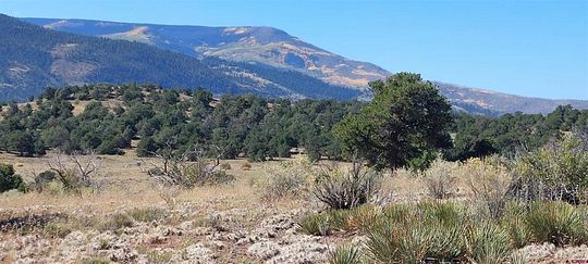 5.3 Acres of Residential Land for Sale in South Fork, Colorado