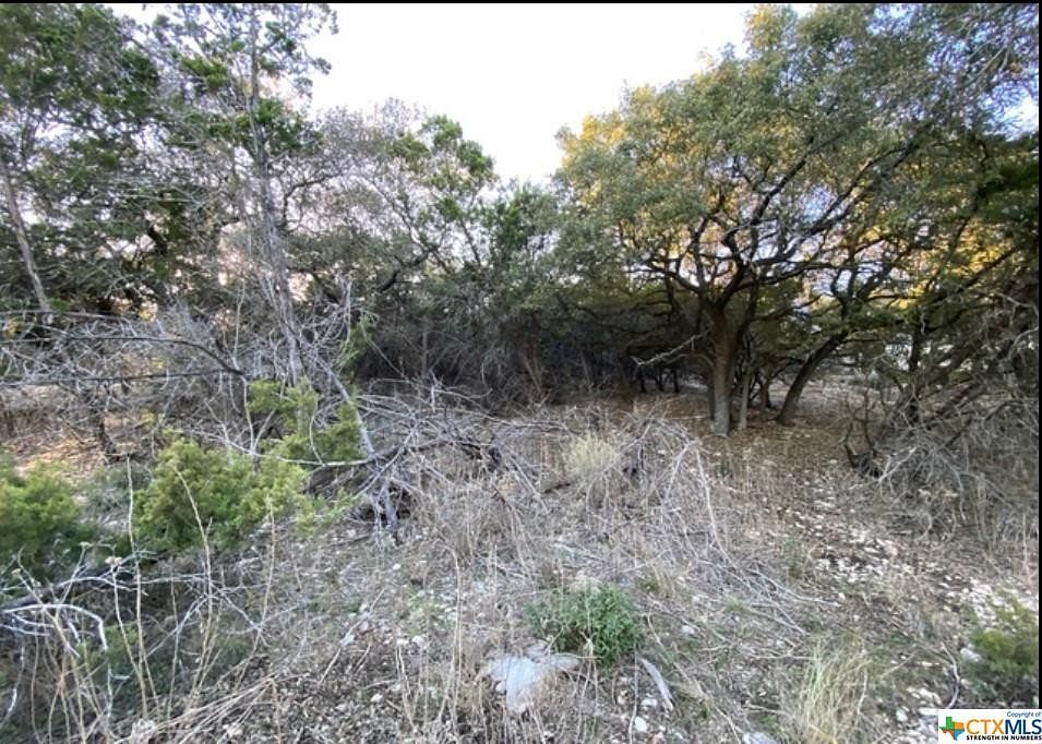 0.24 Acres of Residential Land for Sale in Canyon Lake, Texas