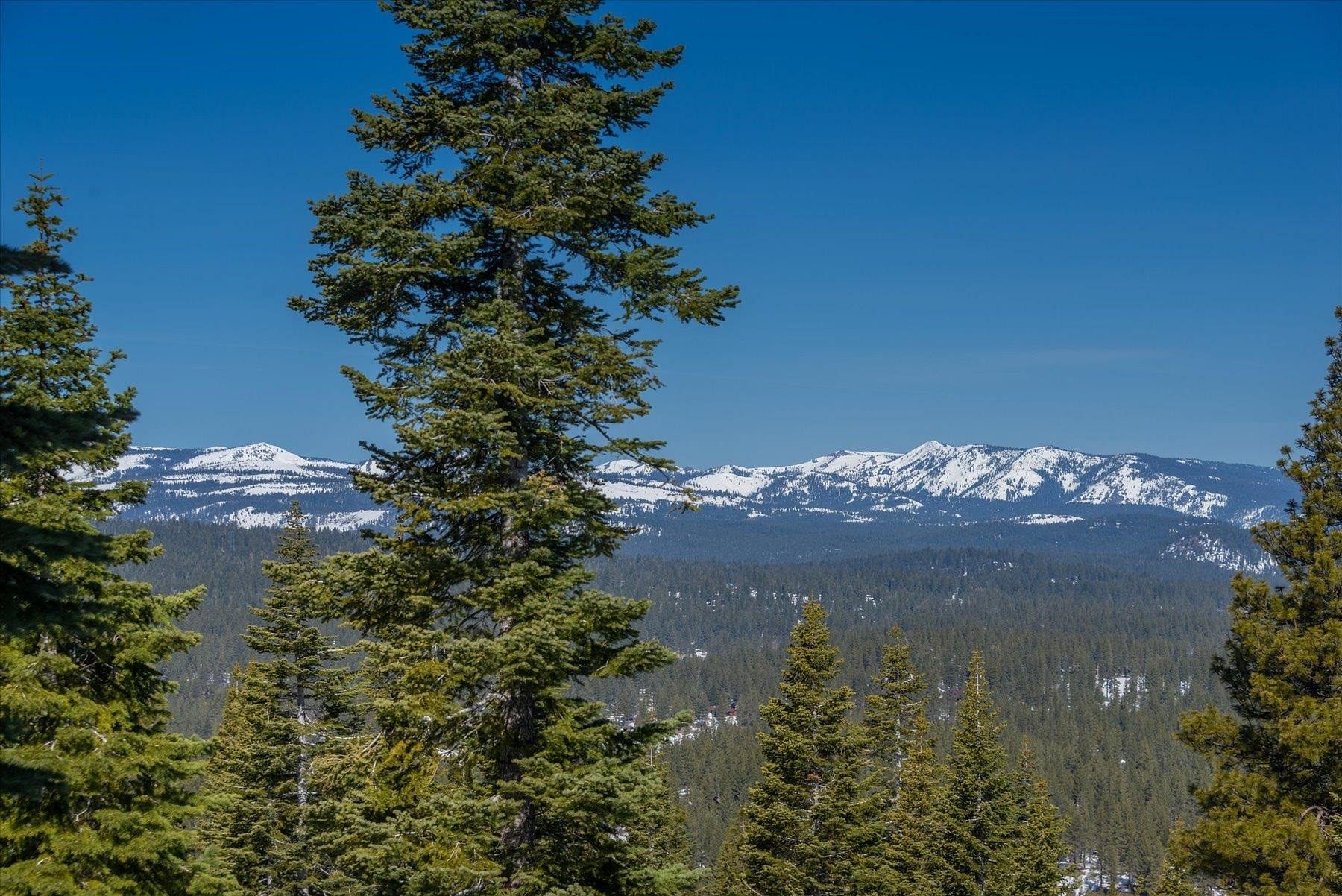 1 Acre of Residential Land for Sale in Truckee, California