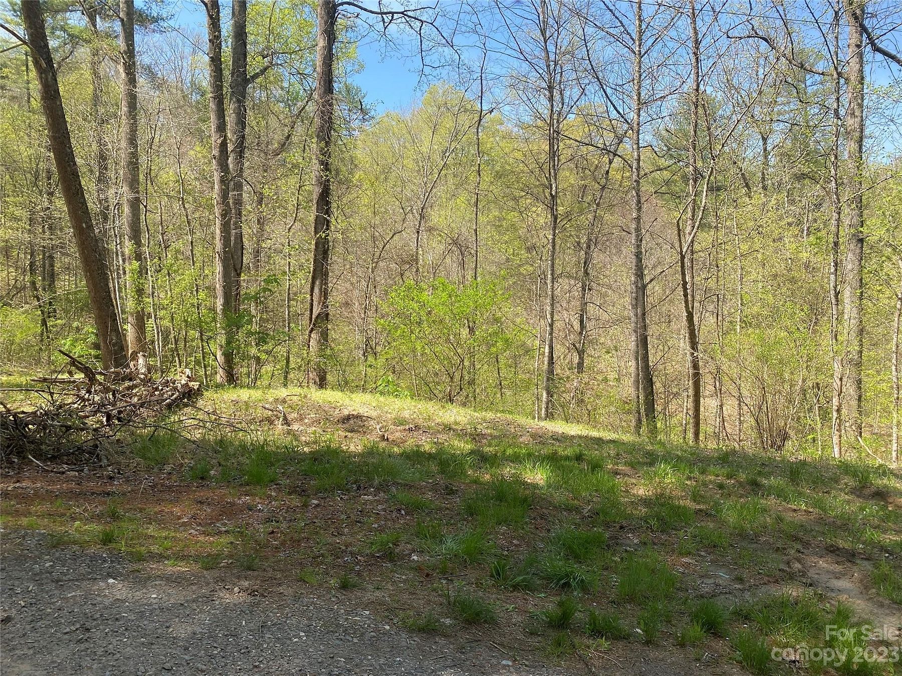 0.48 Acres of Land for Sale in Burnsville, North Carolina