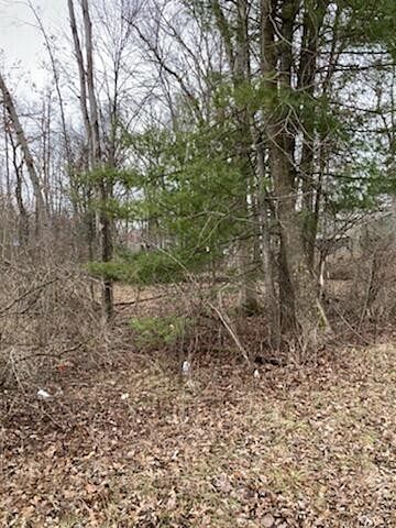 0.34 Acres of Residential Land for Sale in Baldwin, Michigan