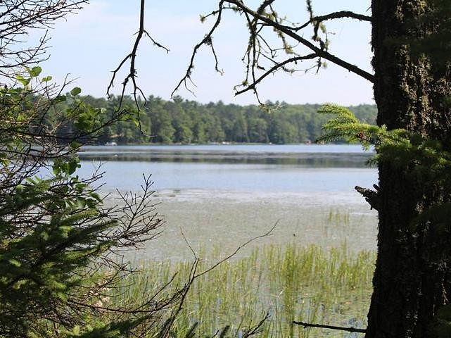 5.9 Acres of Land for Sale in Watersmeet, Michigan