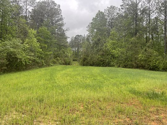 162 Acres of Recreational Land for Sale in Knoxville, Alabama