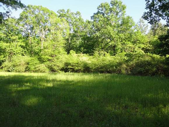 34.5 Acres of Land for Sale in Magnolia, Mississippi