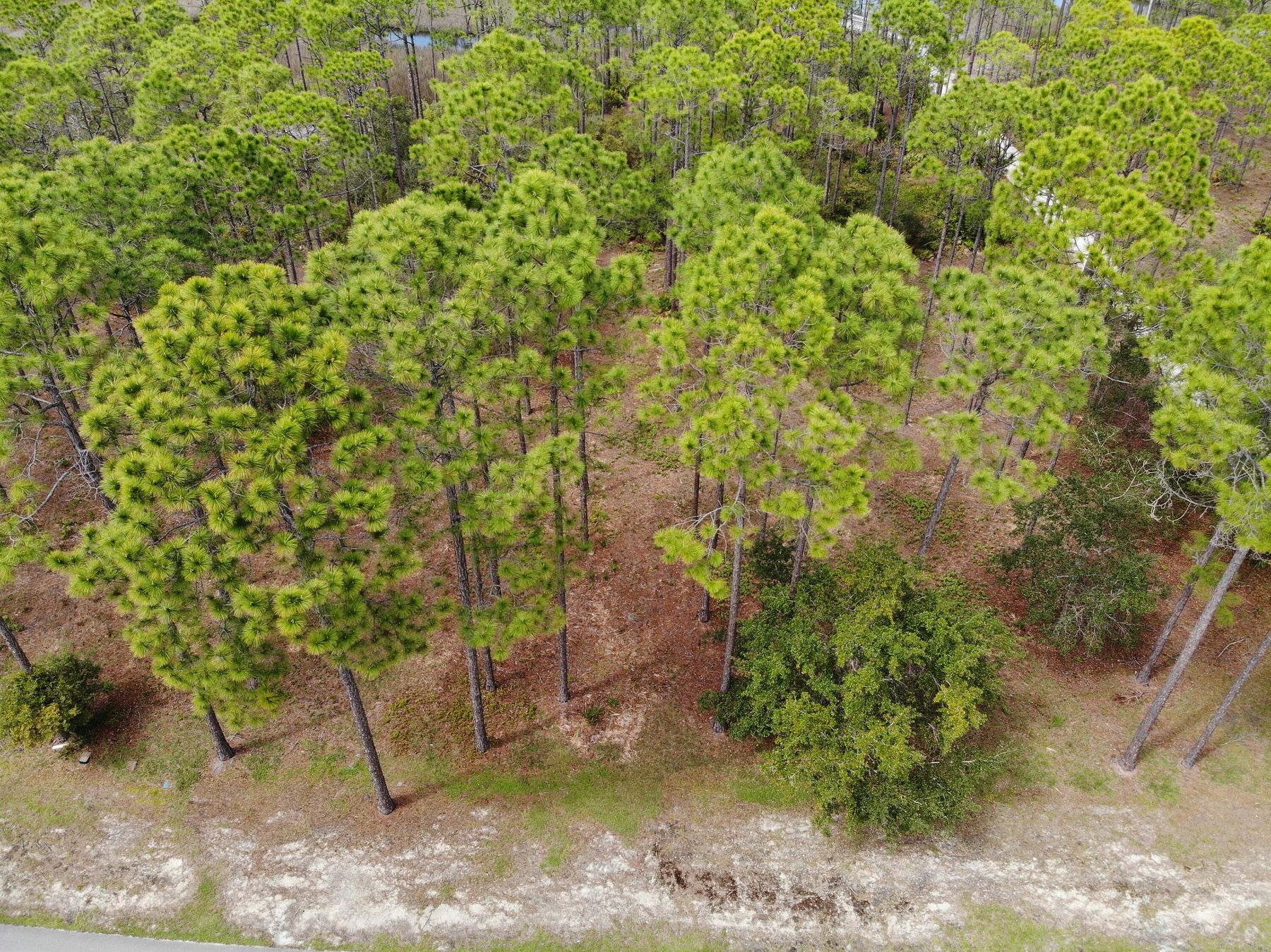 0.95 Acres of Residential Land for Sale in Panama City Beach, Florida