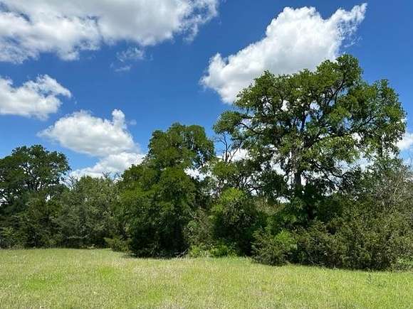 20.5 Acres of Agricultural Land for Sale in Briggs, Texas