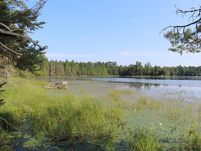 4.9 Acres of Land for Sale in Watersmeet, Michigan