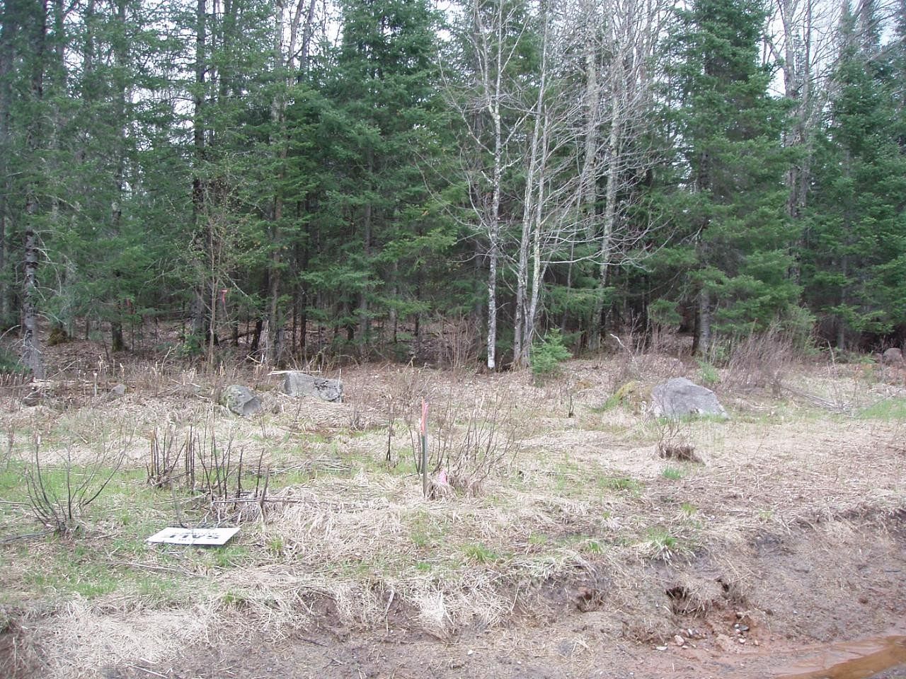 6.7 Acres of Land for Sale in Glidden, Wisconsin